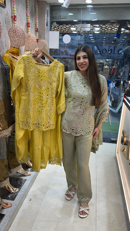 Shimmer tissue 3 pc, partywear suit with all cutwork design front nd back