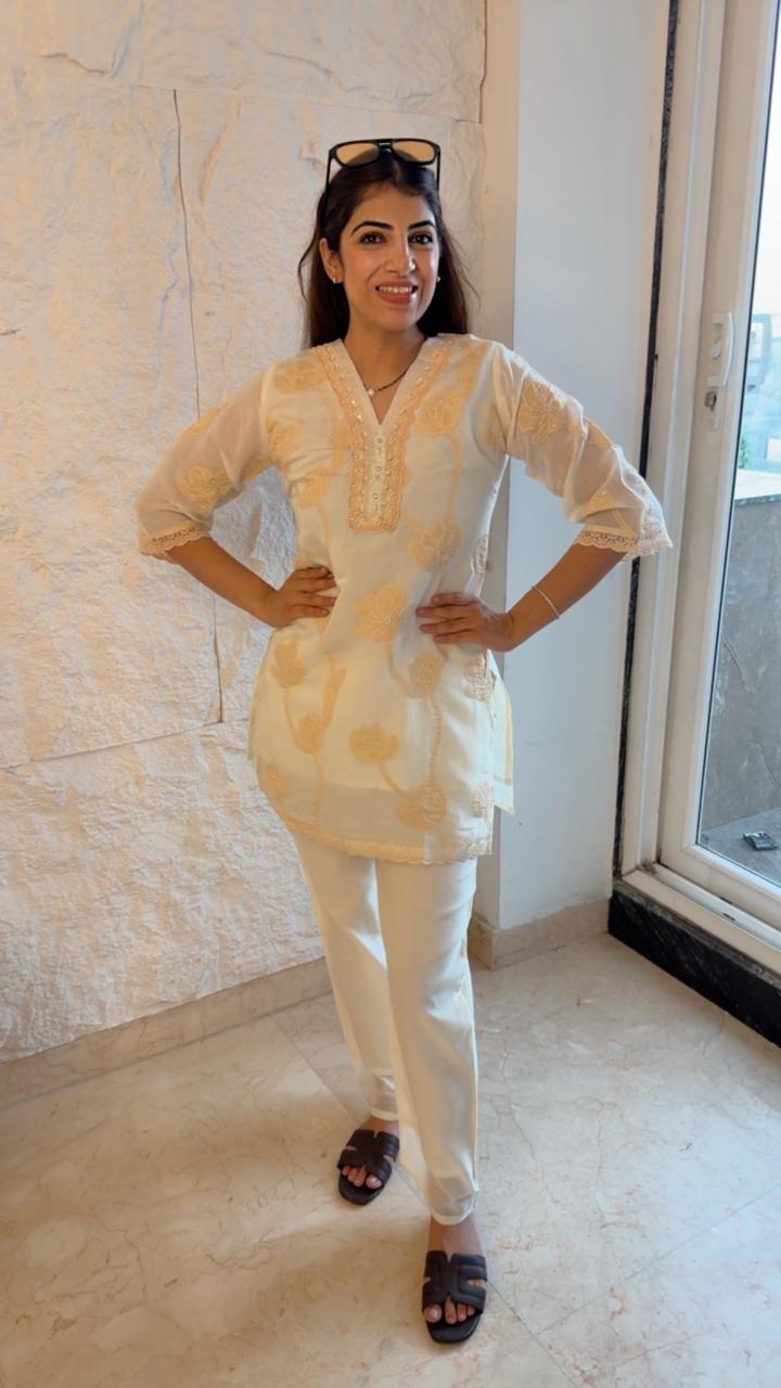 Pakistani embroidered 2 pc co-ord set paired with straight pants