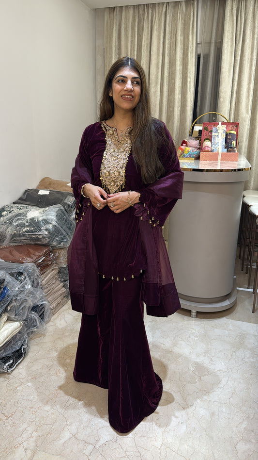 Valvet partywear 3 pc suit neck design all handwork with divider plazo