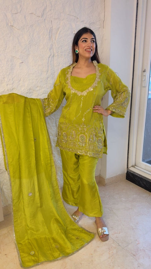 Shimmer tissue 3pc set partywear with bell bottom plazo with all handwork
