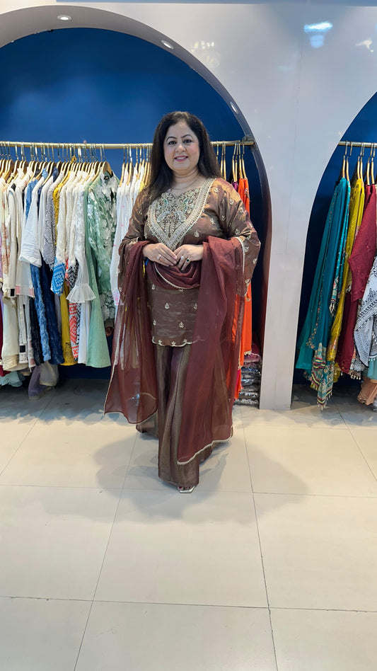 Pura Organza 3pc Suit with Complete Handwork on Front & Back with Kali Palazoo
