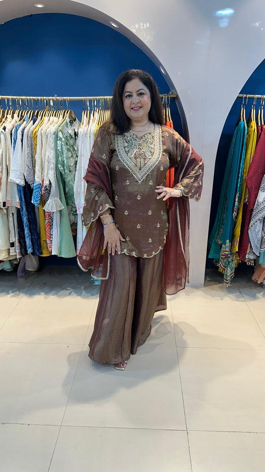 Pura Organza 3pc Suit with Complete Handwork on Front & Back with Kali Palazoo